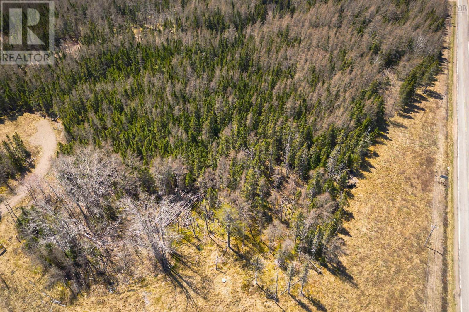 Lot 6 Highway 4, Cleveland, Nova Scotia  B0E 1J0 - Photo 13 - 202511136
