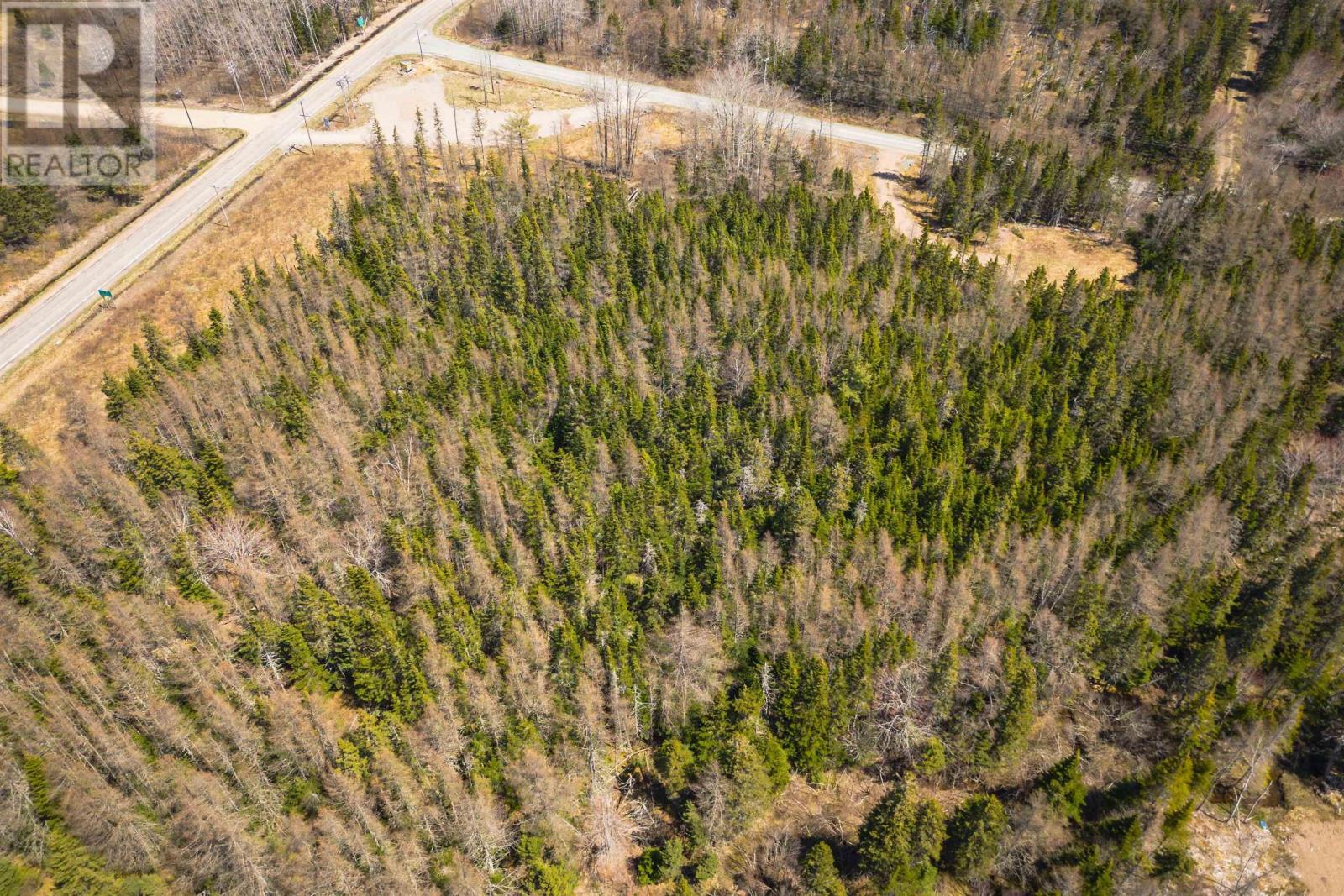 Lot 6 Highway 4, Cleveland, Nova Scotia  B0E 1J0 - Photo 3 - 202511136