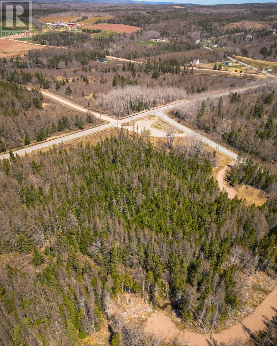 Lot 6 Highway 4, Cleveland, Nova Scotia  B0E 1J0 - Photo 6 - 202511136