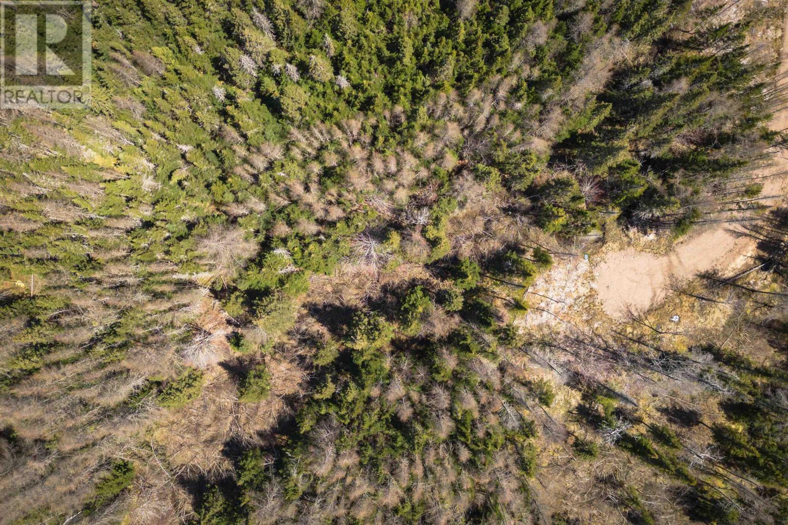 Lot 6 Highway 4, Cleveland, Nova Scotia  B0E 1J0 - Photo 7 - 202511136