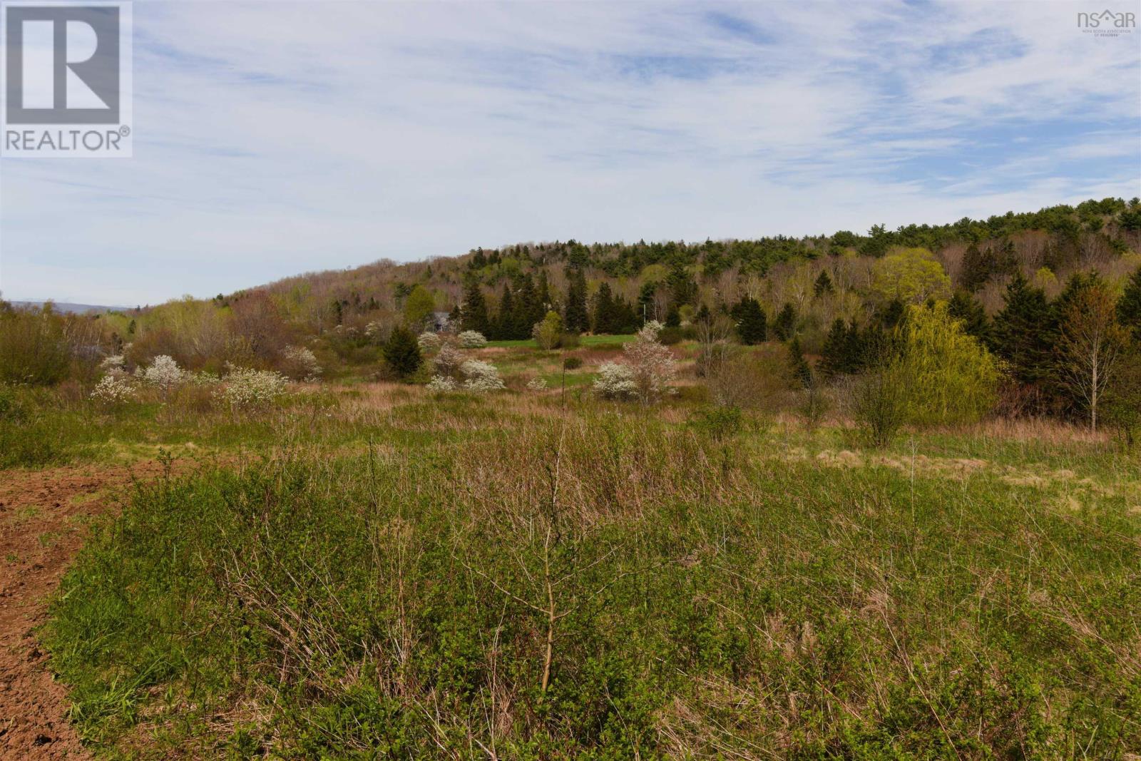 Lot 201 Highway, Tupperville, Nova Scotia  B0S 1C0 - Photo 14 - 202511159
