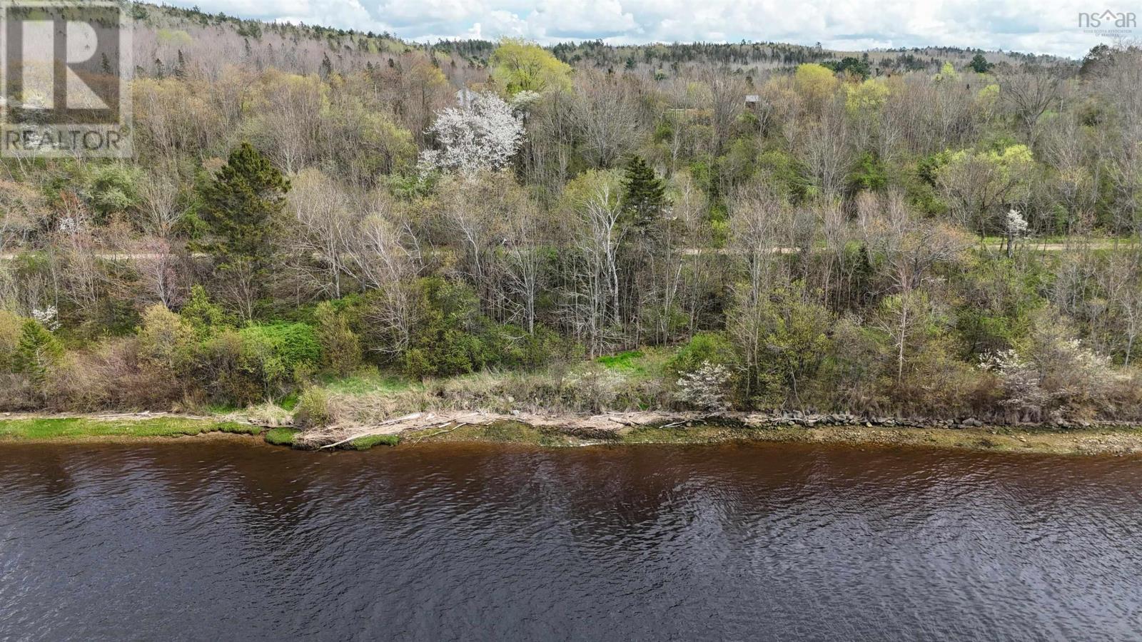 Lot 201 Highway, Tupperville, Nova Scotia  B0S 1C0 - Photo 8 - 202511159