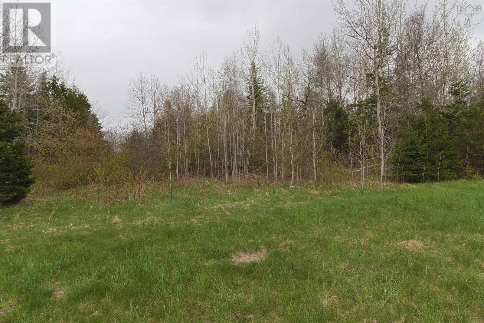 K-2 809 Newtonville Road, Forest Hill, Nova Scotia  B4P 1R1 - Photo 10 - 202511163