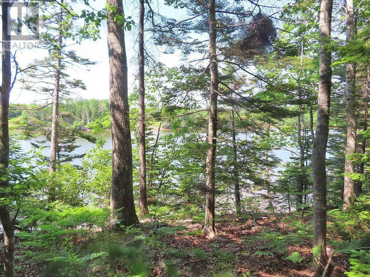 Lot 12a Dorothy Robinson Drive, Evanston, Nova Scotia  B0E 1J0 - Photo 10 - 202511201