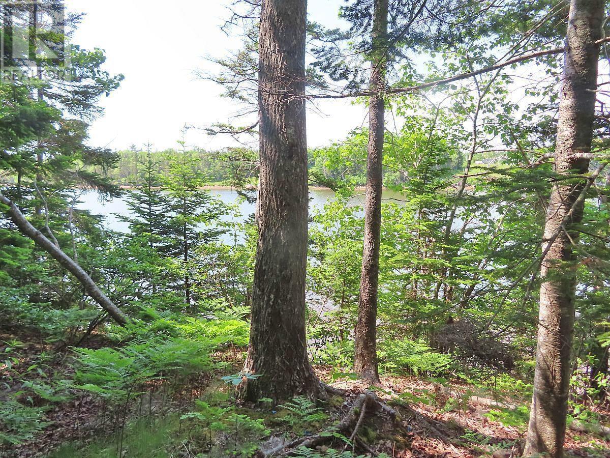 Lot 12a Dorothy Robinson Drive, Evanston, Nova Scotia  B0E 1J0 - Photo 11 - 202511201