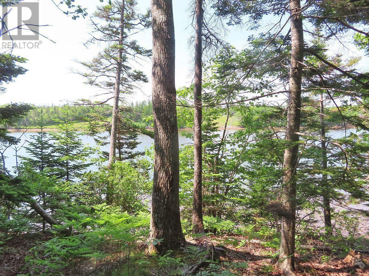 Lot 12a Dorothy Robinson Drive, Evanston, Nova Scotia  B0E 1J0 - Photo 12 - 202511201