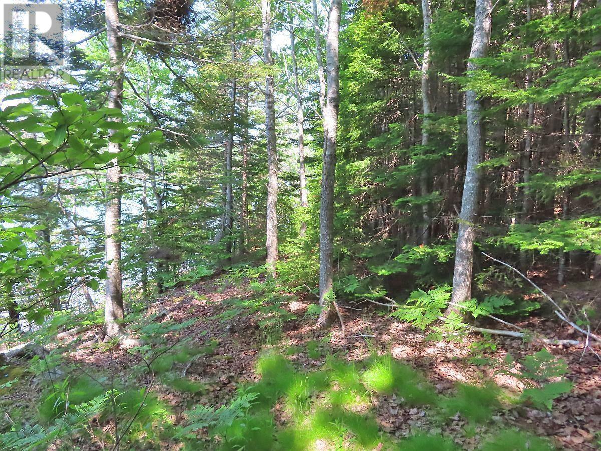 Lot 12a Dorothy Robinson Drive, Evanston, Nova Scotia  B0E 1J0 - Photo 14 - 202511201