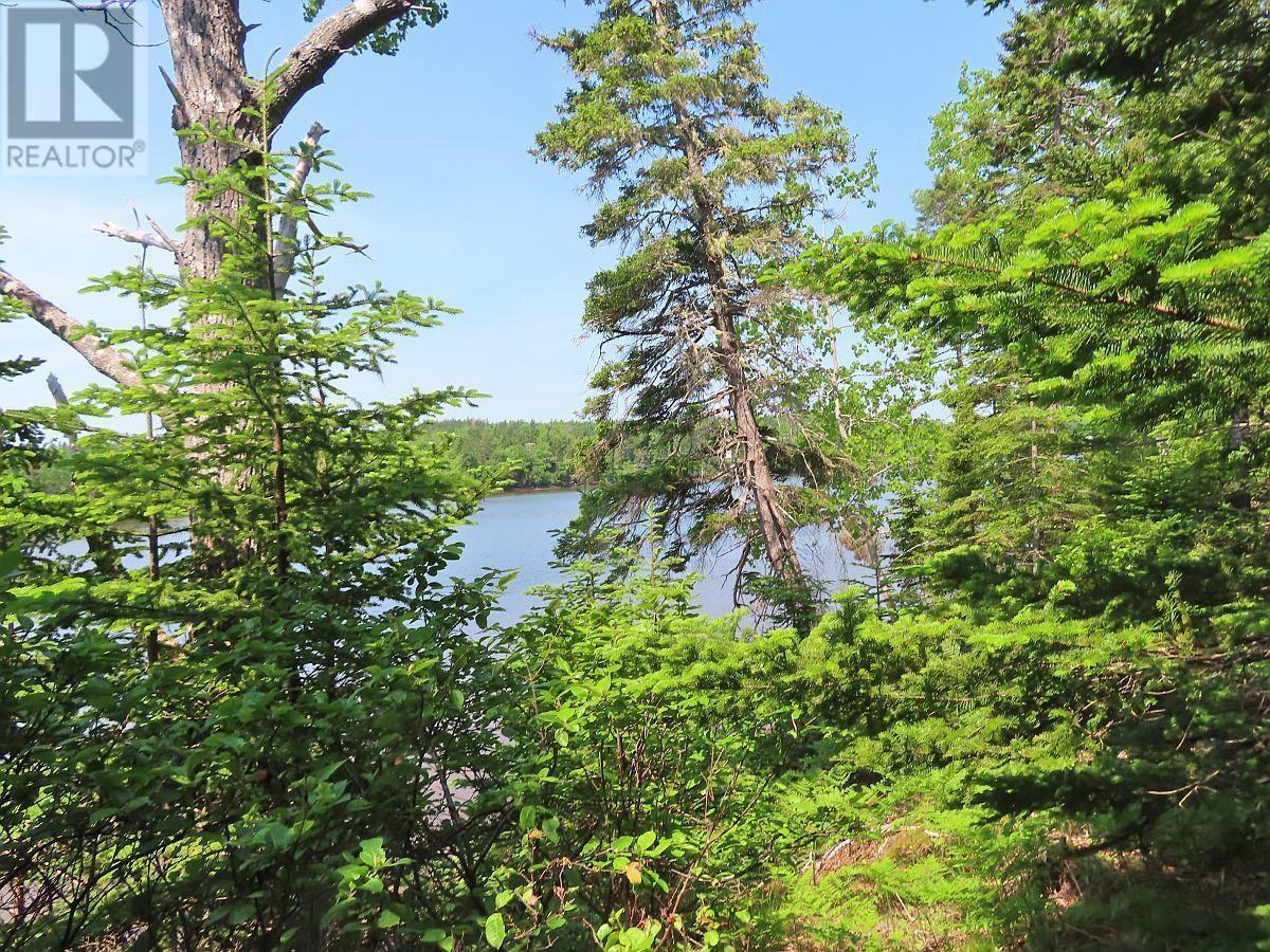 Lot 12a Dorothy Robinson Drive, Evanston, Nova Scotia  B0E 1J0 - Photo 15 - 202511201