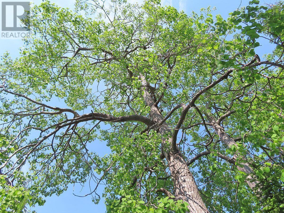 Lot 12a Dorothy Robinson Drive, Evanston, Nova Scotia  B0E 1J0 - Photo 17 - 202511201