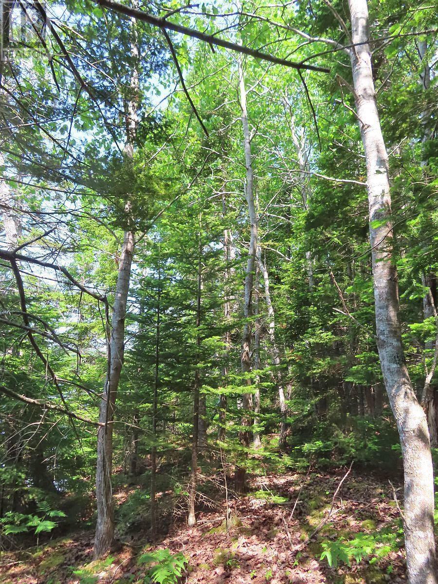 Lot 12a Dorothy Robinson Drive, Evanston, Nova Scotia  B0E 1J0 - Photo 18 - 202511201