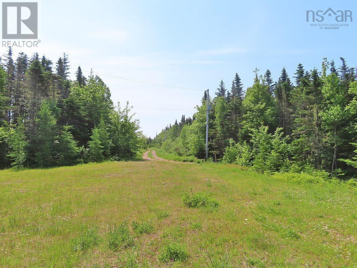 Lot 12a Dorothy Robinson Drive, Evanston, Nova Scotia  B0E 1J0 - Photo 19 - 202511201