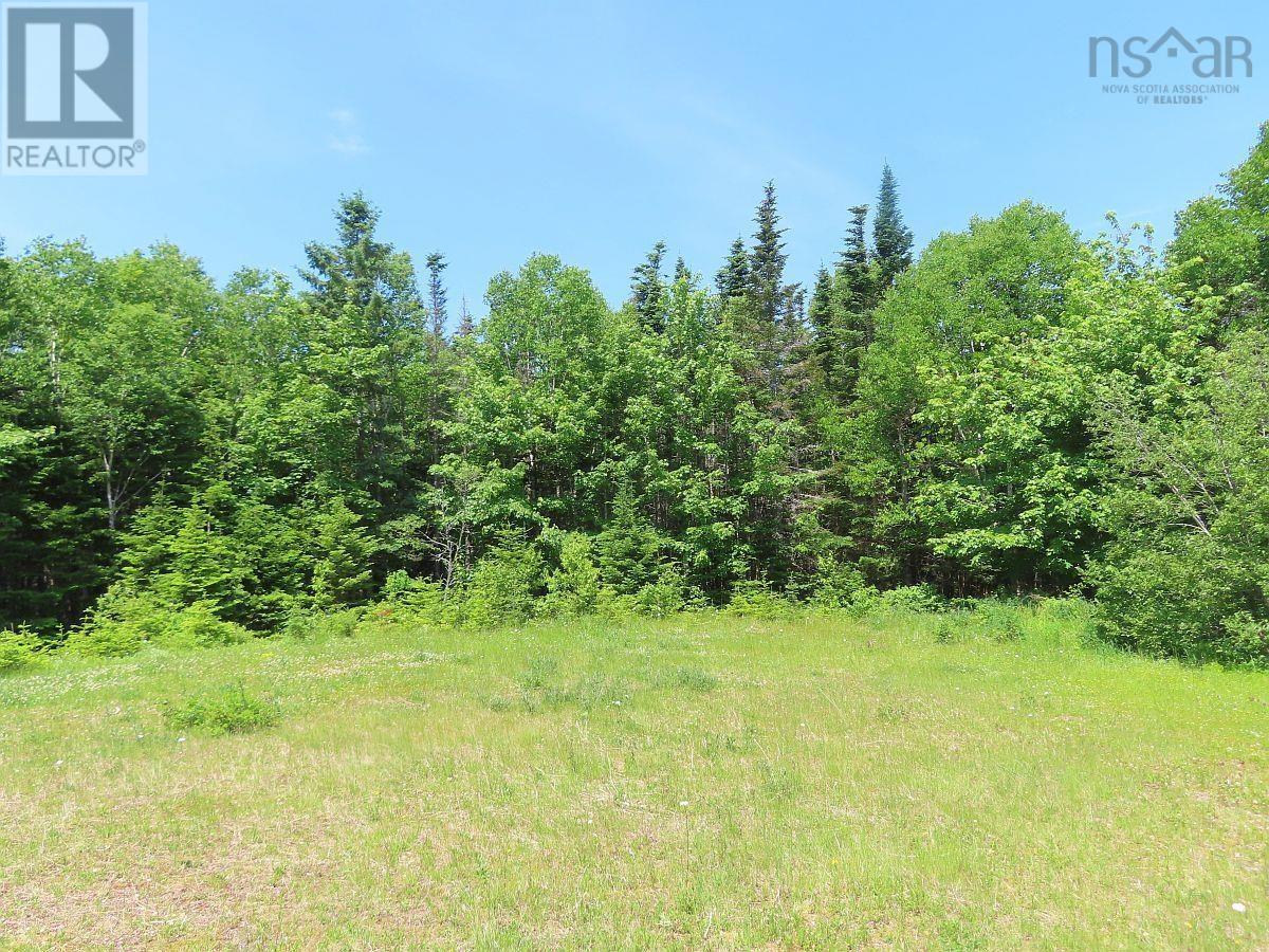 Lot 12a Dorothy Robinson Drive, Evanston, Nova Scotia  B0E 1J0 - Photo 20 - 202511201