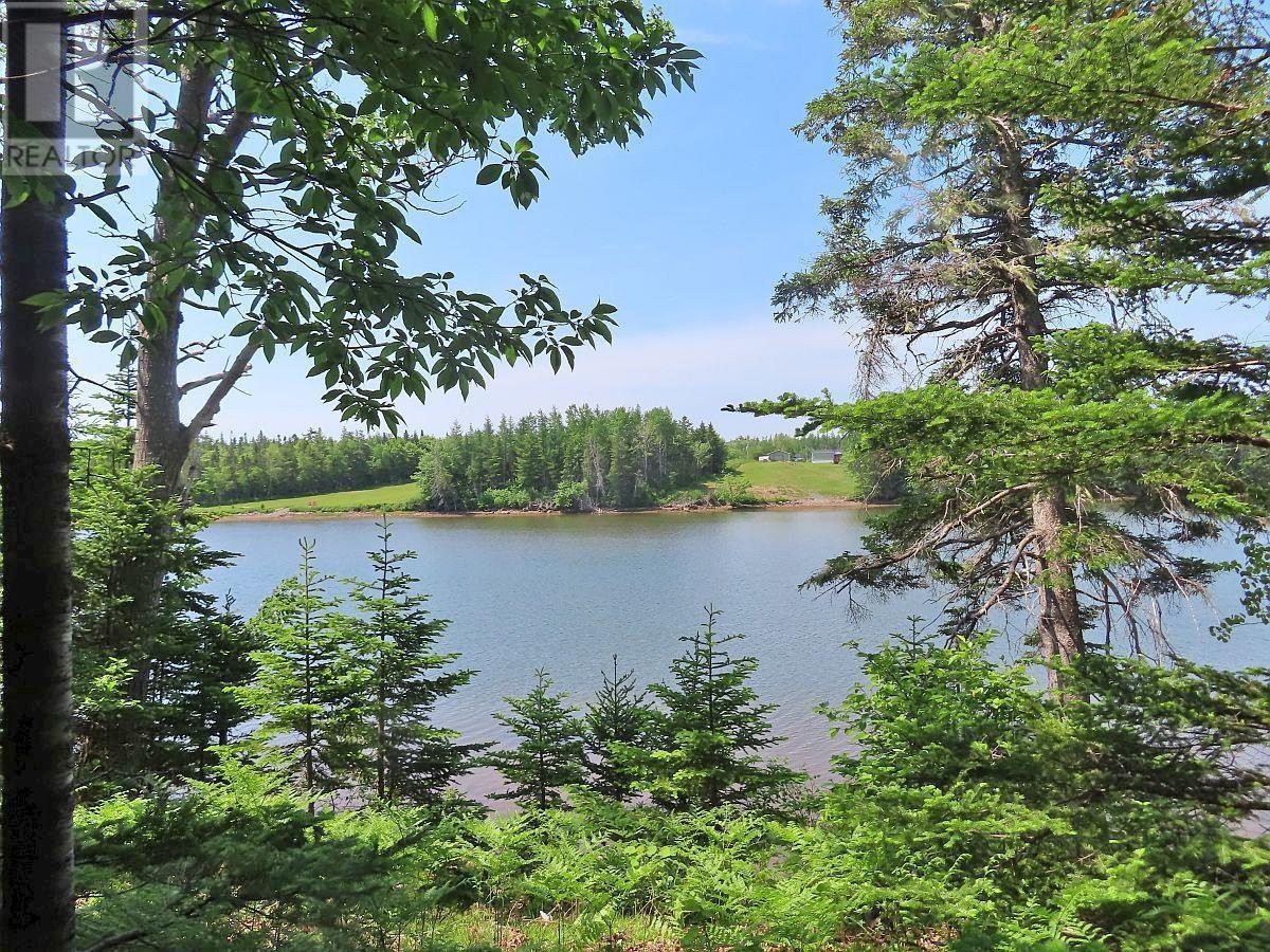 Lot 12a Dorothy Robinson Drive, Evanston, Nova Scotia  B0E 1J0 - Photo 3 - 202511201