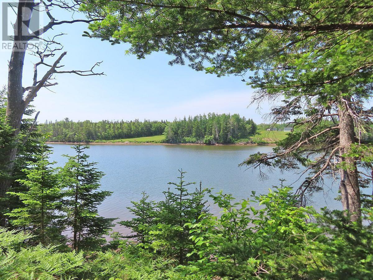 Lot 12a Dorothy Robinson Drive, Evanston, Nova Scotia  B0E 1J0 - Photo 5 - 202511201