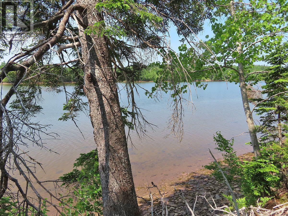 Lot 12a Dorothy Robinson Drive, Evanston, Nova Scotia  B0E 1J0 - Photo 6 - 202511201