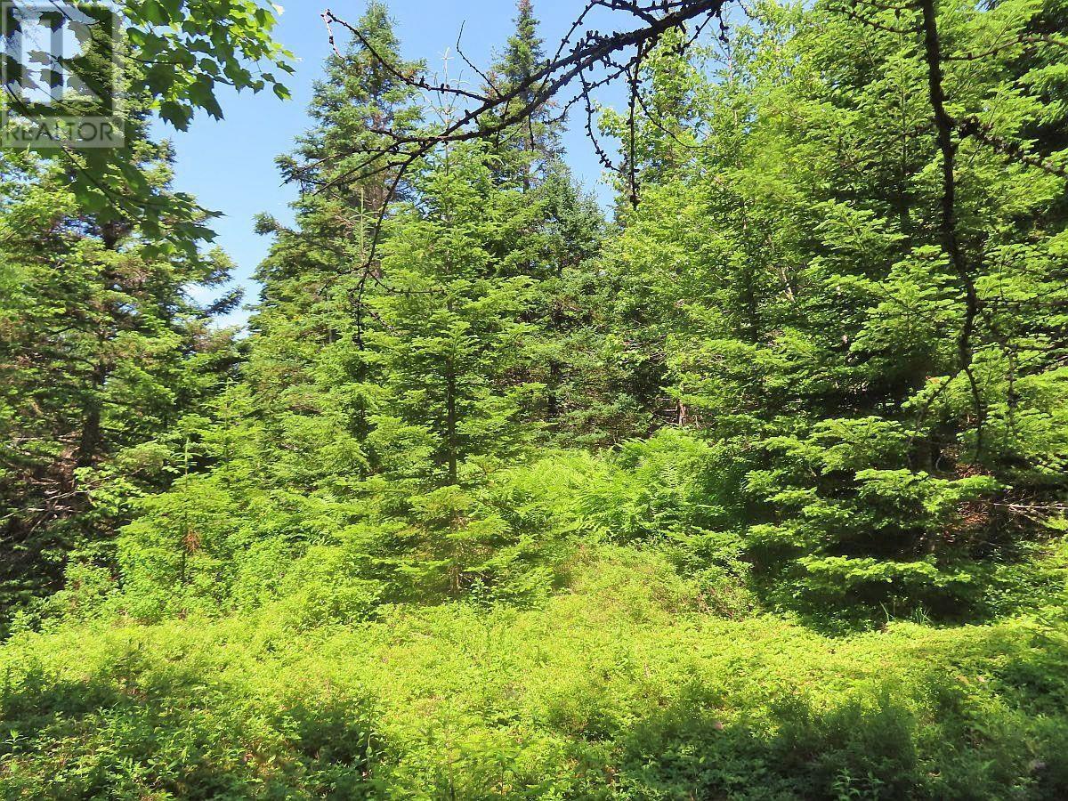Lot 3 Upper Grand Mira Road, Upper Grand Mira, Nova Scotia  B1K 1M1 - Photo 25 - 202511220