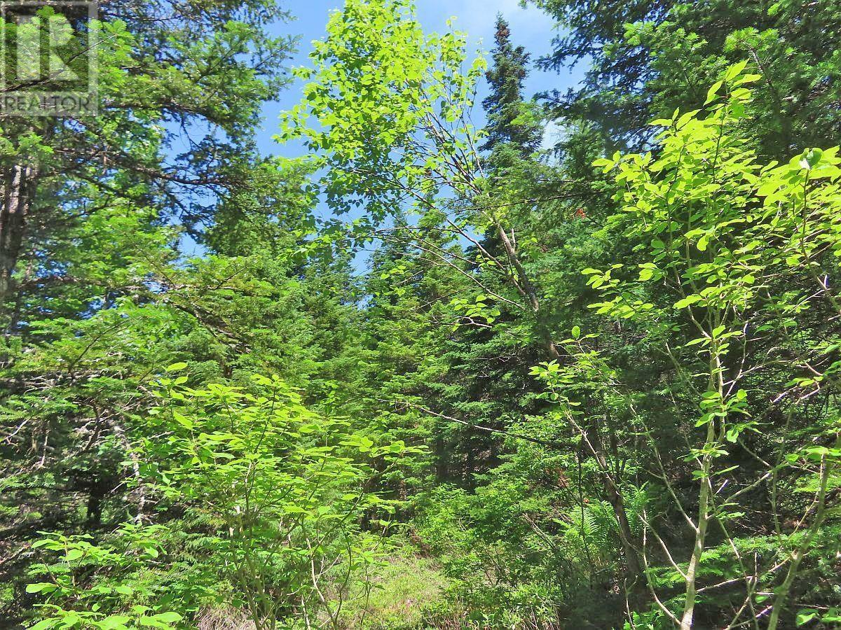 Lot 3 Upper Grand Mira Road, Upper Grand Mira, Nova Scotia  B1K 1M1 - Photo 26 - 202511220
