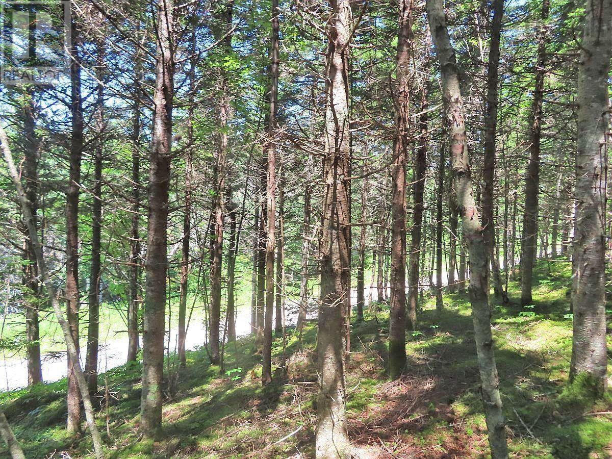 Lot 3 Upper Grand Mira Road, Upper Grand Mira, Nova Scotia  B1K 1M1 - Photo 29 - 202511220