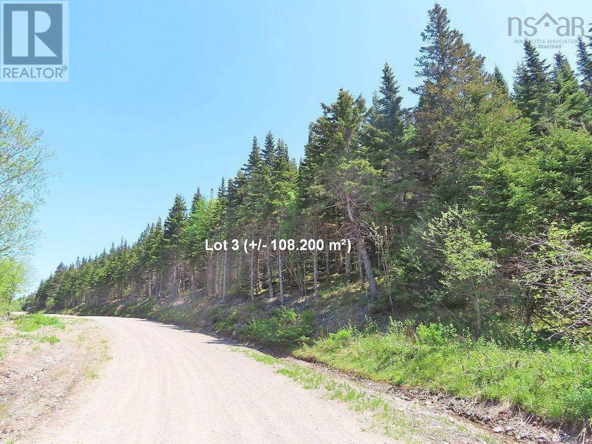 Lot 3 Upper Grand Mira Road, Upper Grand Mira, Nova Scotia  B1K 1M1 - Photo 30 - 202511220