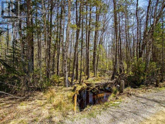 50n Secret Road, Briar Lake, Nova Scotia  B0W 2Y0 - Photo 6 - 202511310