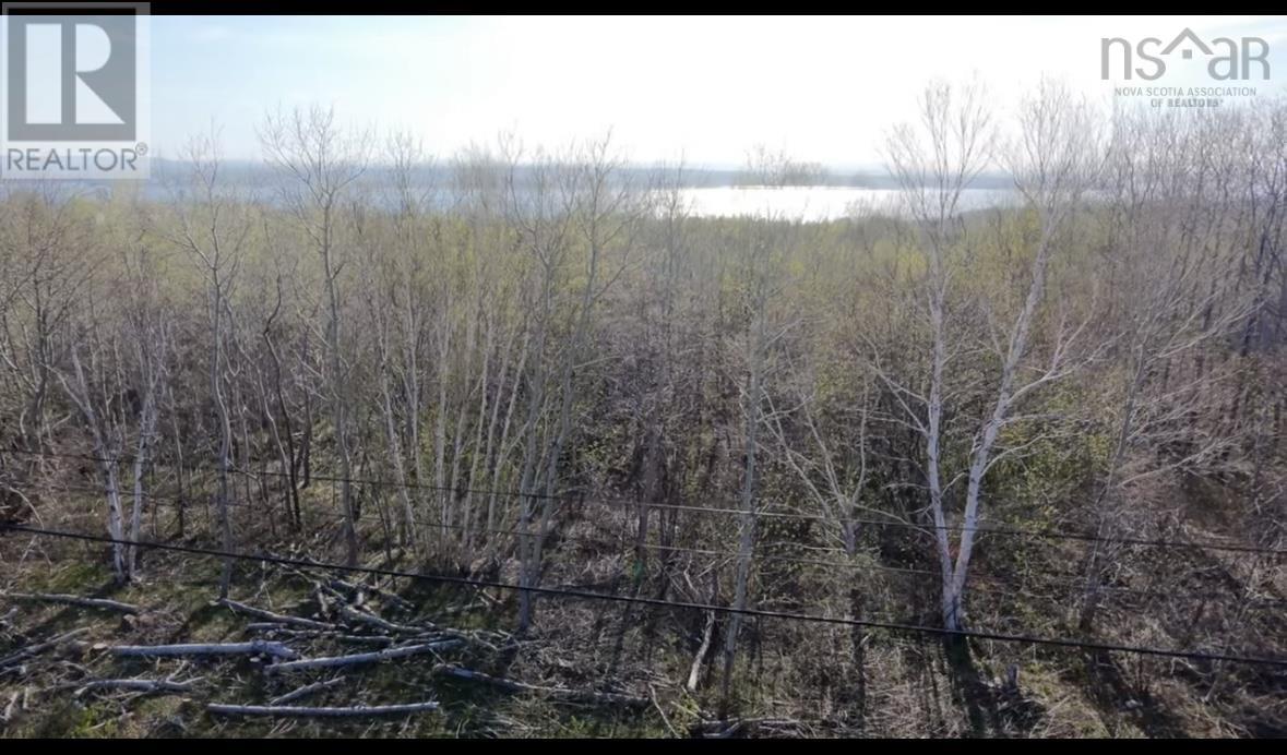 1 Cornishtown Road, Nova Scotia, Nova Scotia  B1N 3J9 - Photo 4 - 202511312