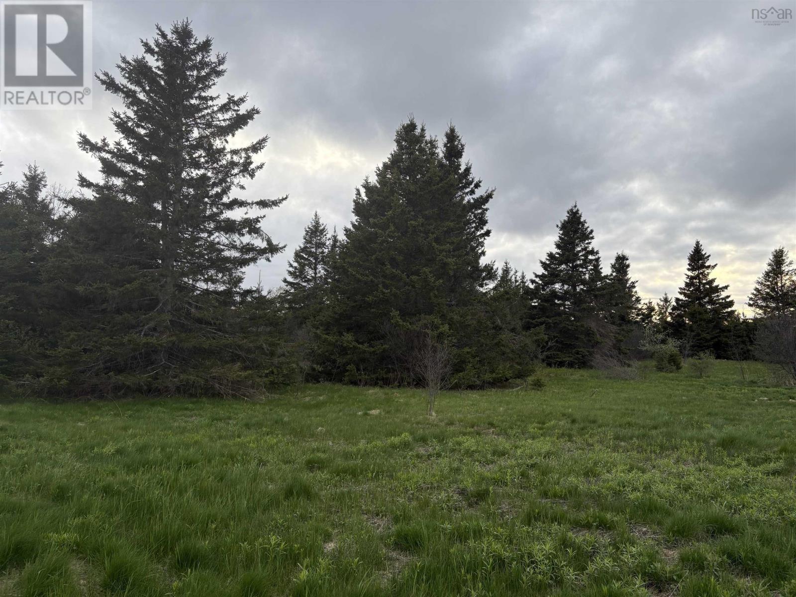 Lot 725 Limerock Road, Lovat, Nova Scotia  B0K 1P0 - Photo 5 - 202511420