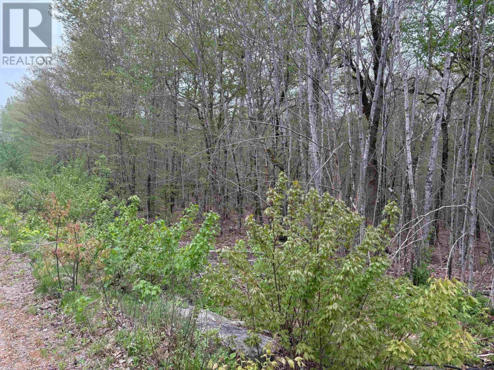 Lot 46 Turner Point Road, walden, Nova Scotia