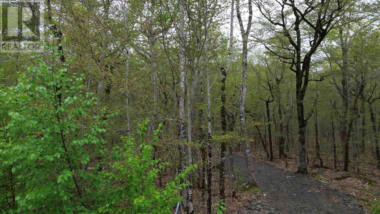 Lot 46 Turner Point Road, Walden, Nova Scotia  B0J 2E0 - Photo 4 - 202511451