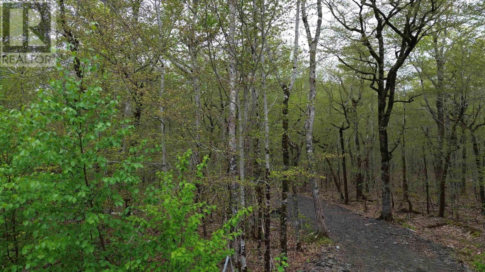 Lot 46 Turner Point Road, Walden, Nova Scotia  B0J 2E0 - Photo 5 - 202511451