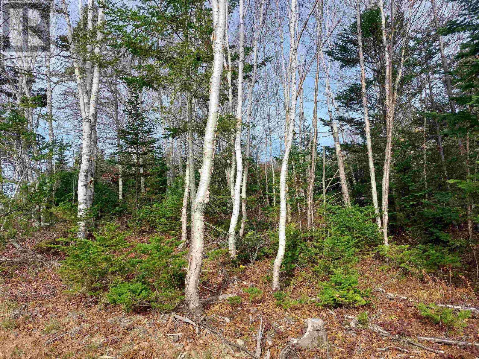 Lot 2 Bjoern Seelhorst Dr., French Road, Nova Scotia  B1K 0B1 - Photo 5 - 202511656