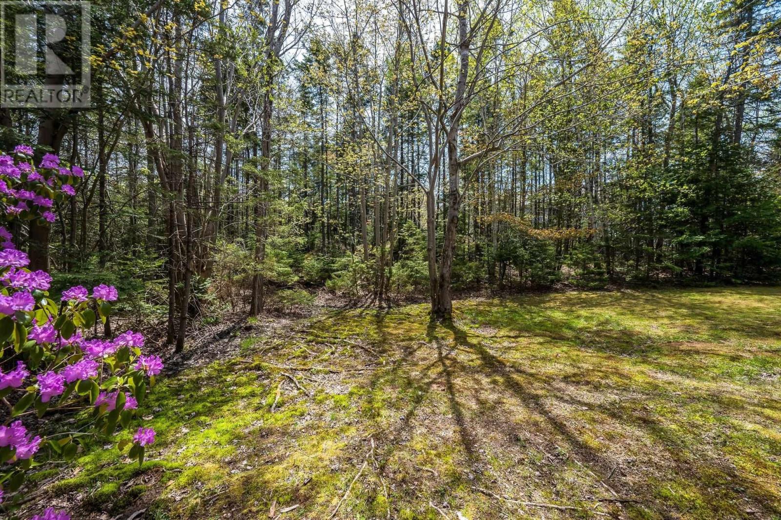 20 Oakley Avenue, Halifax, Nova Scotia  B3M 3G5 - Photo 46 - 202511746