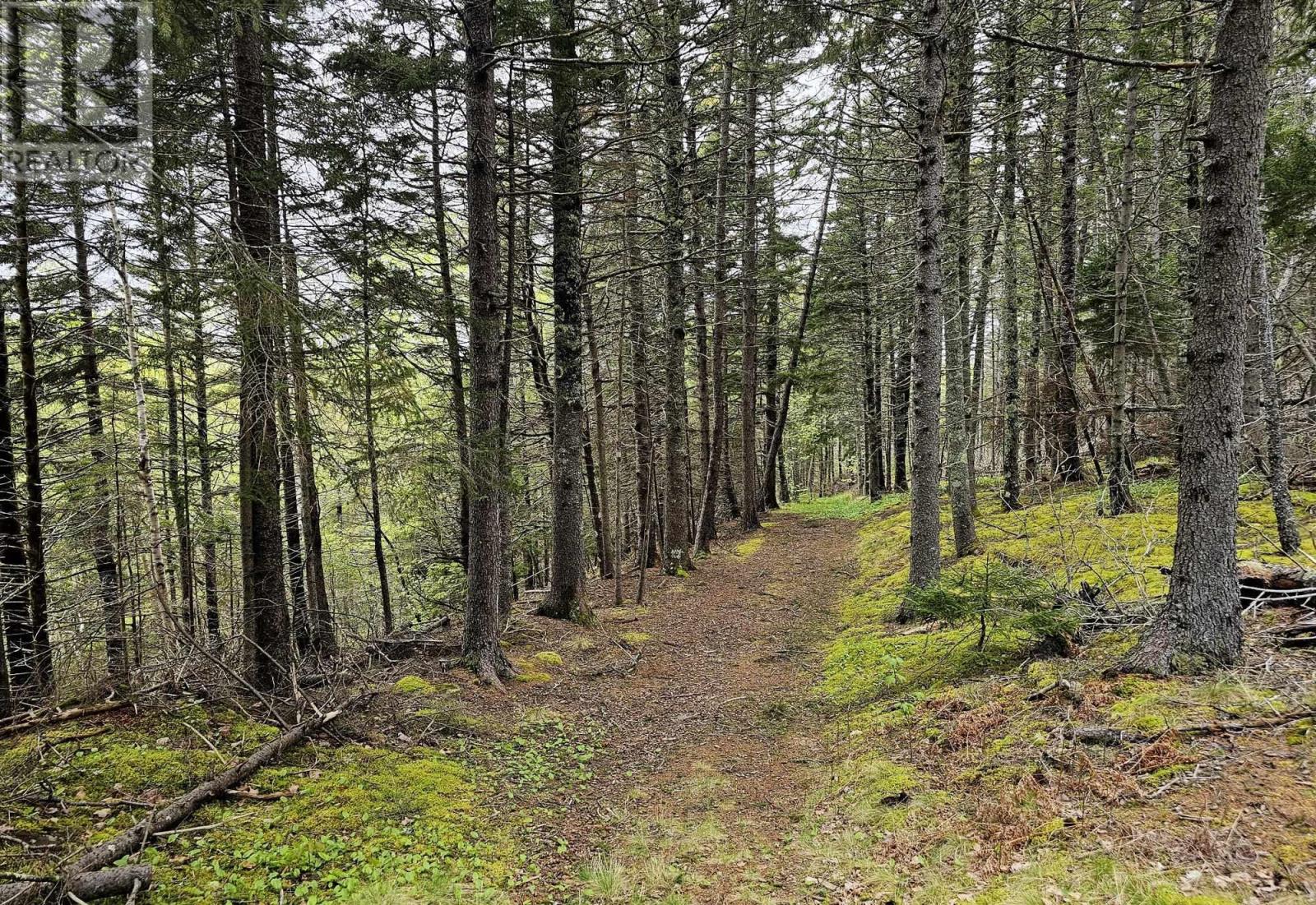 12812 Shore Road, Moshers Corner, Nova Scotia  B0S 1P0 - Photo 8 - 202511835