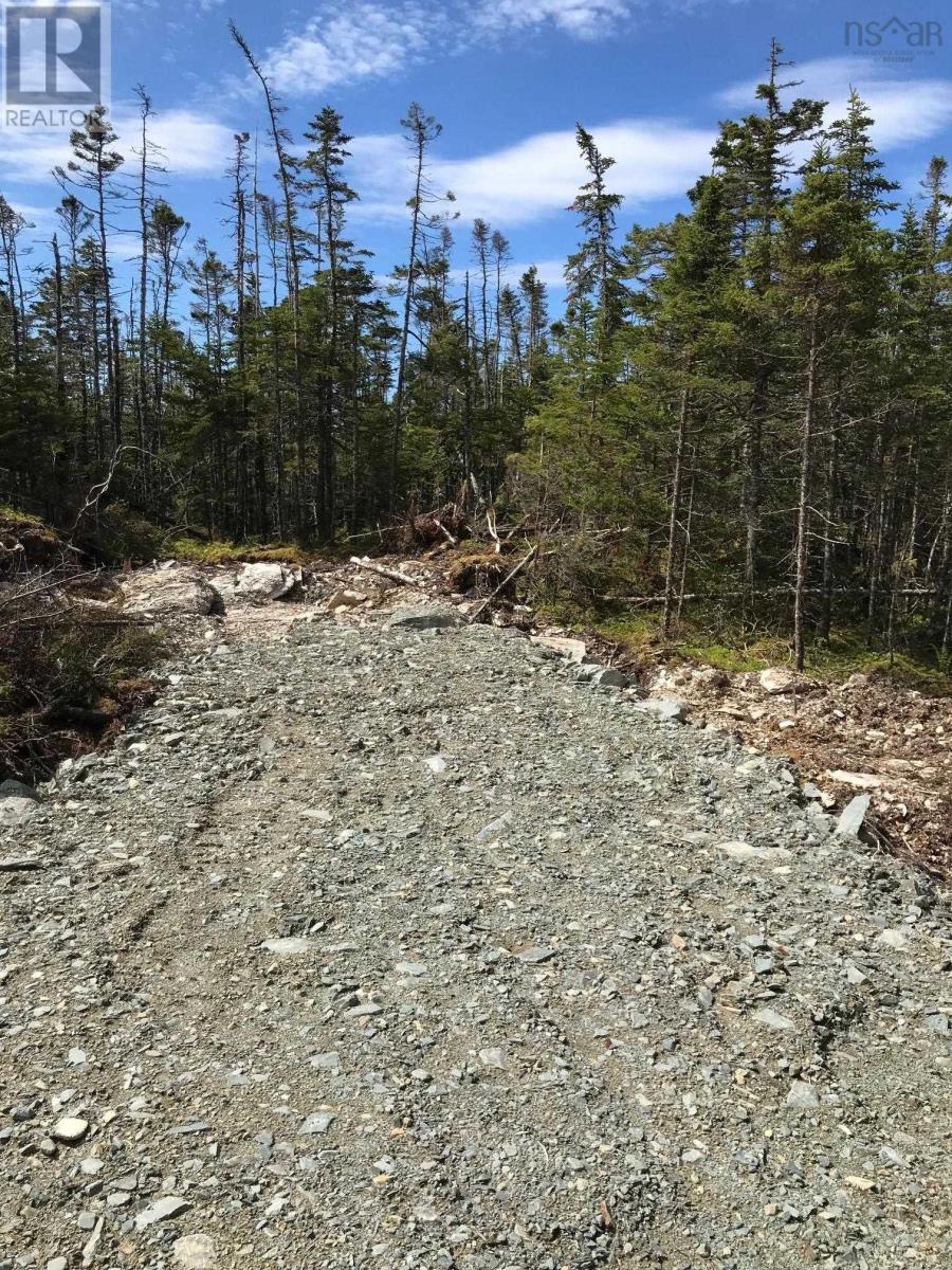 No 7 Highway, Ecum Secum, Nova Scotia  B0H 2G0 - Photo 16 - 202512037