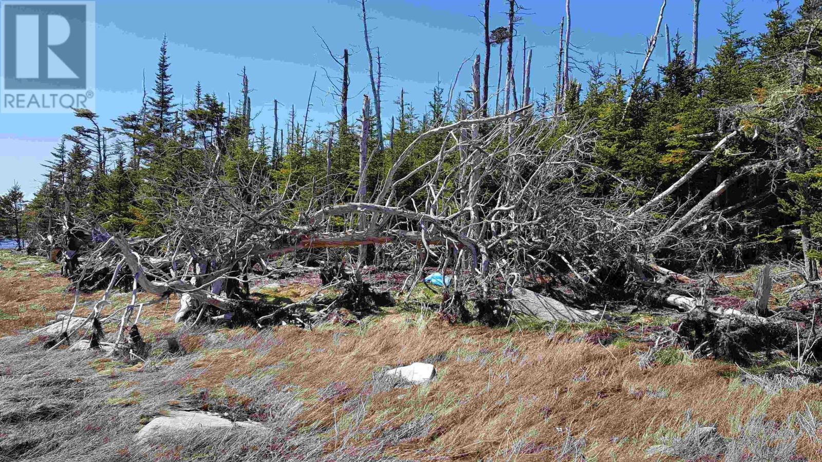 No 7 Highway, Ecum Secum, Nova Scotia  B0H 2G0 - Photo 4 - 202512037