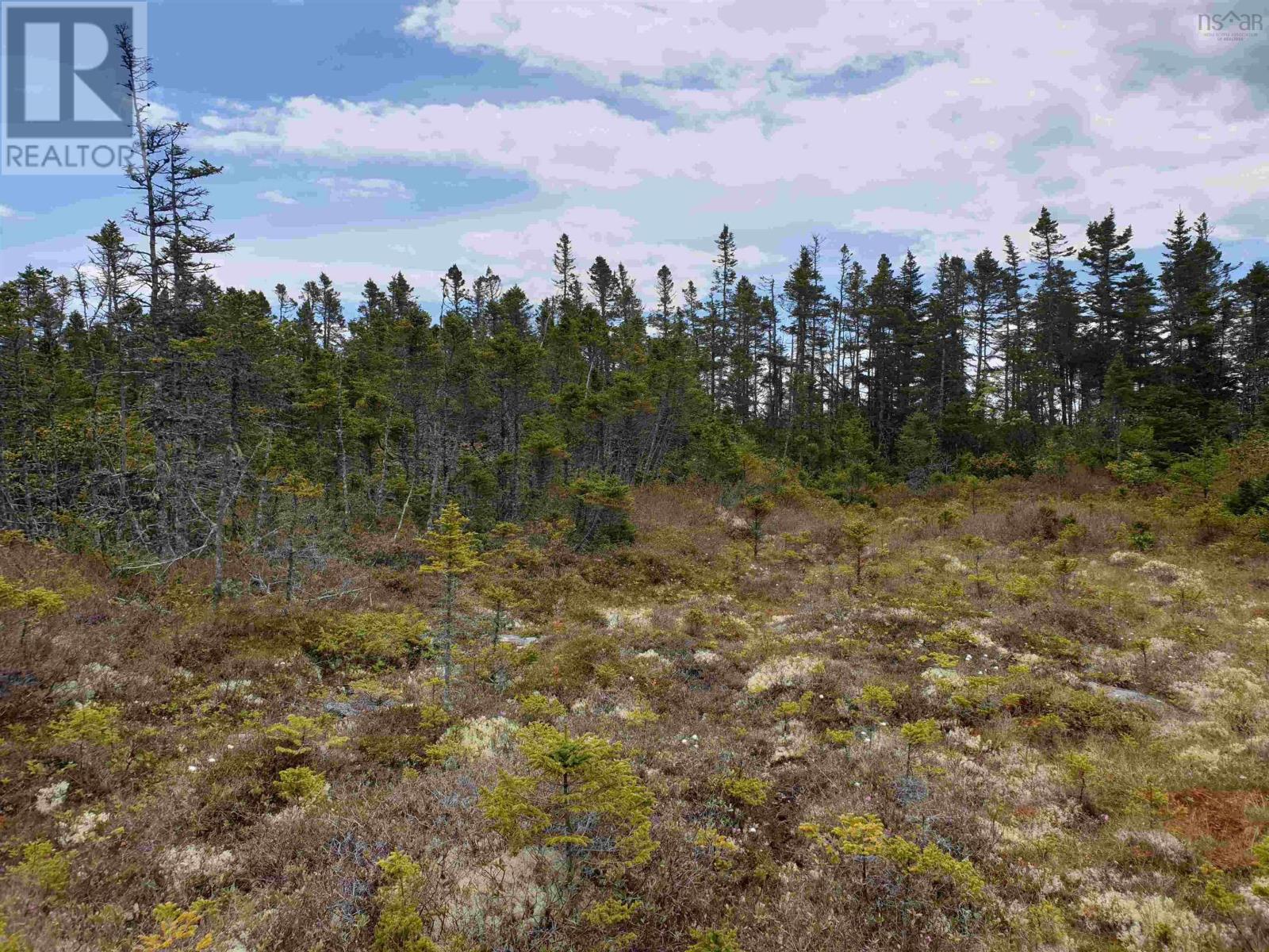 No 7 Highway, Ecum Secum, Nova Scotia  B0H 2G0 - Photo 6 - 202512037