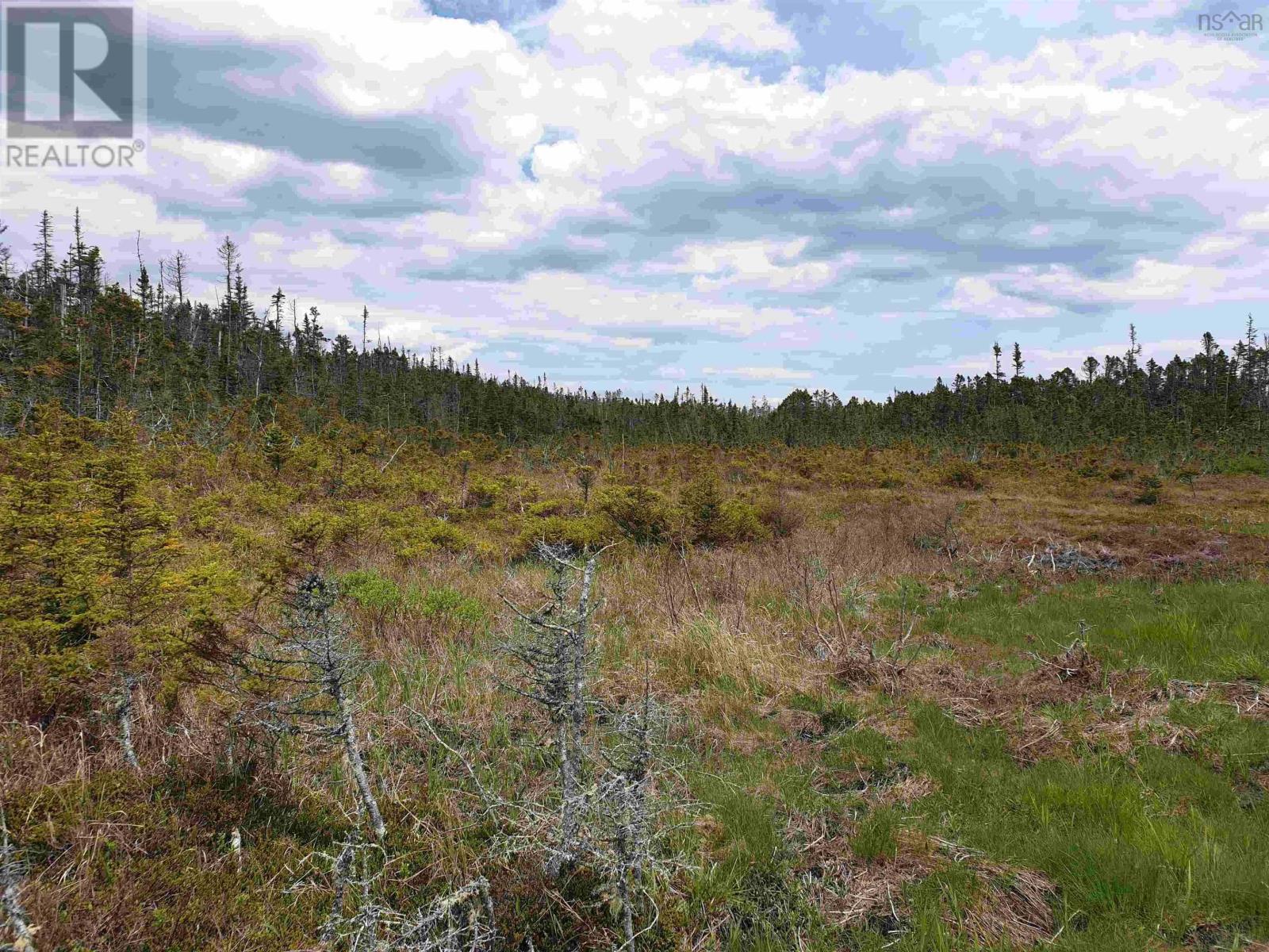 No 7 Highway, Ecum Secum, Nova Scotia  B0H 2G0 - Photo 9 - 202512037