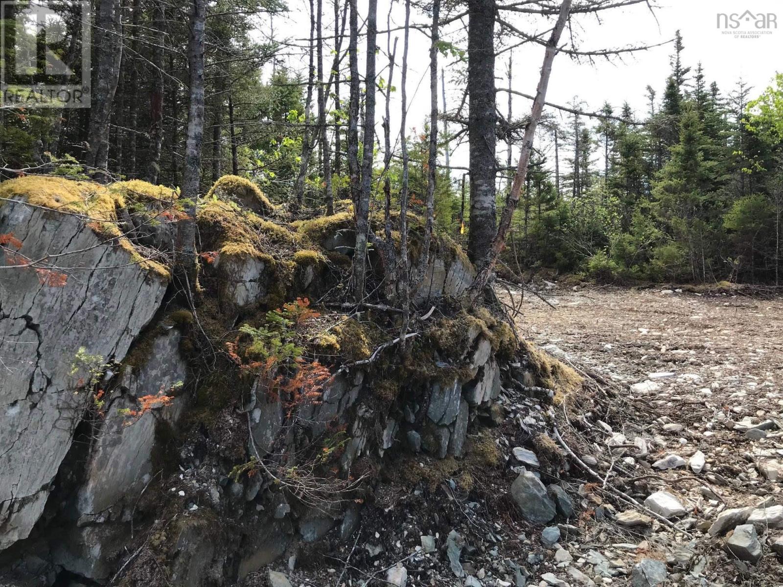 Highway 7, Ecum Secum, Nova Scotia  B0J 2G0 - Photo 10 - 202512039