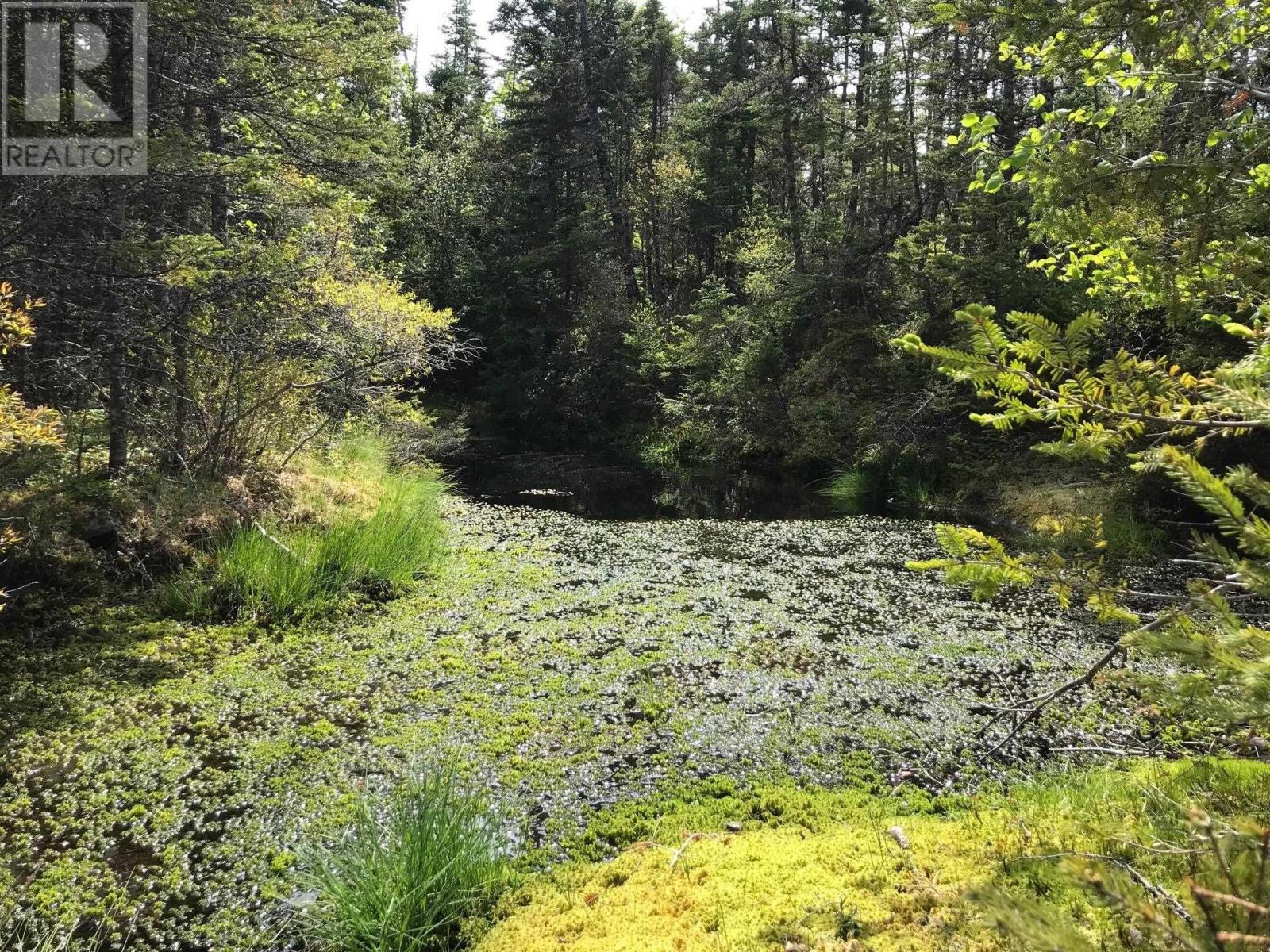 Highway 7, Ecum Secum, Nova Scotia  B0J 2G0 - Photo 11 - 202512039