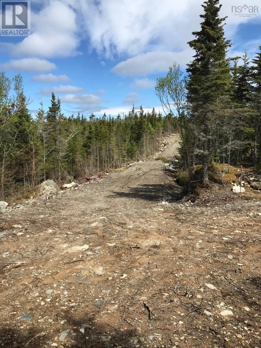 Highway 7, Ecum Secum, Nova Scotia  B0J 2G0 - Photo 13 - 202512039