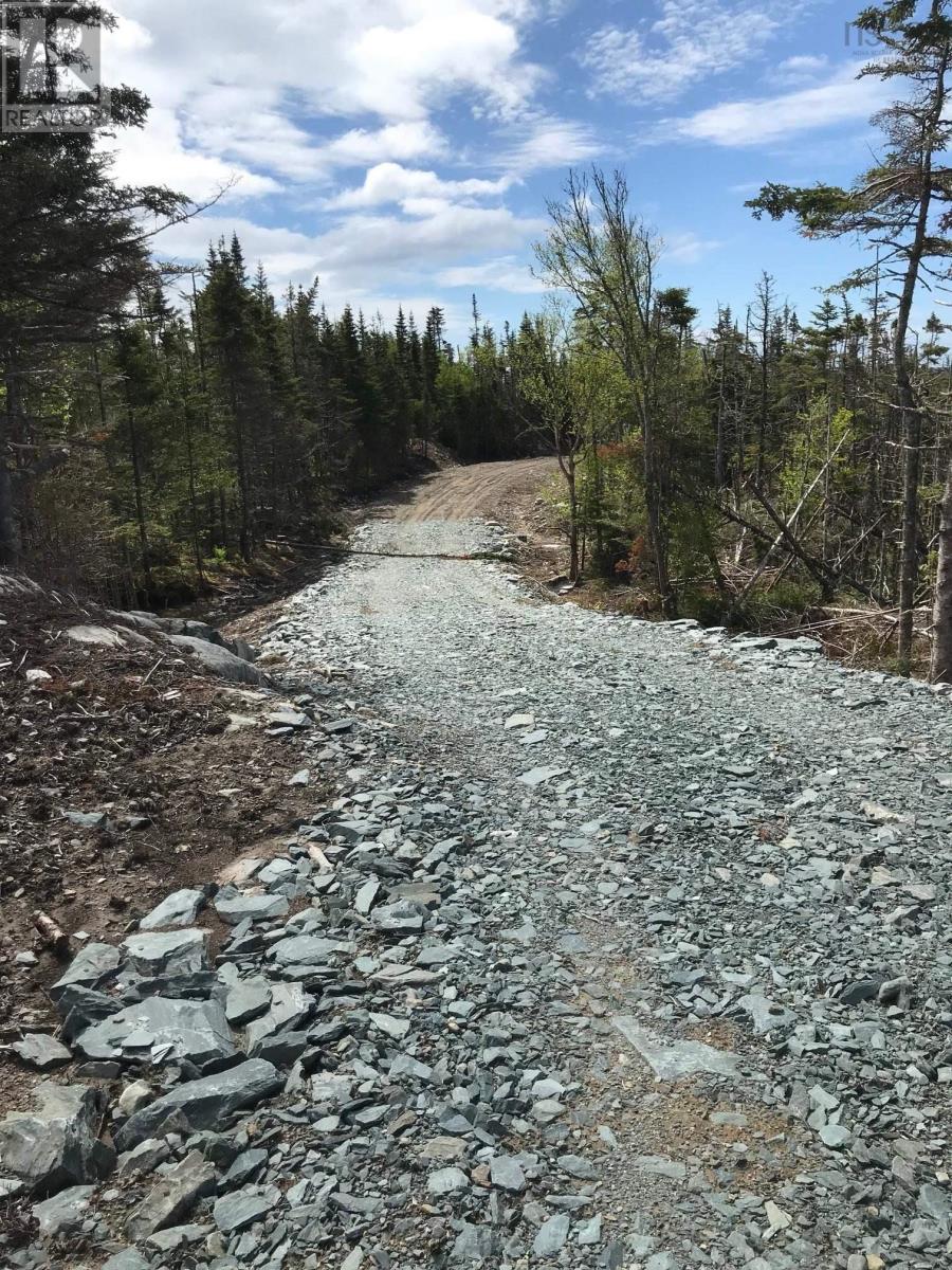 Highway 7, Ecum Secum, Nova Scotia  B0J 2G0 - Photo 15 - 202512039