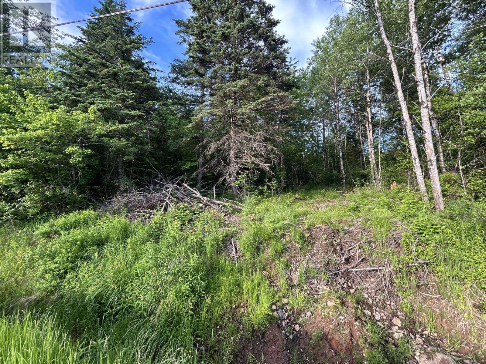 Lot K1 Greenfield Road, Greenfield, Nova Scotia  B4P 2R1 - Photo 10 - 202512250