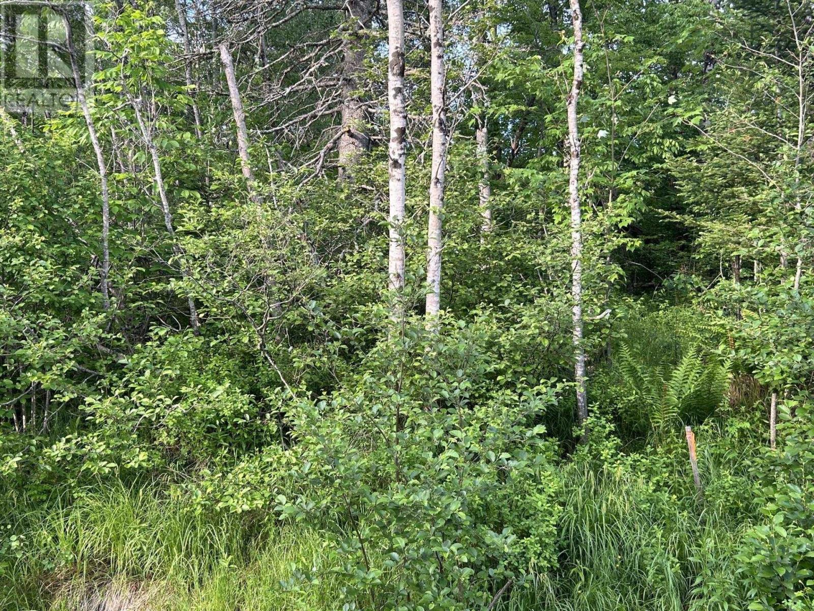 Lot K1 Greenfield Road, Greenfield, Nova Scotia  B4P 2R1 - Photo 12 - 202512250