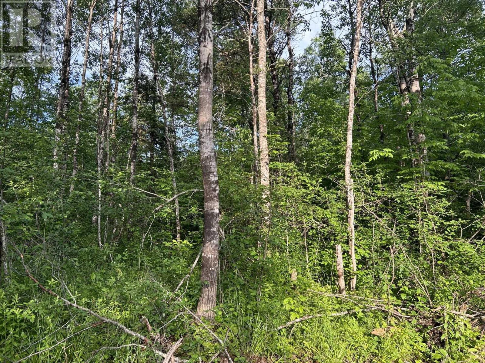 Lot K1 Greenfield Road, Greenfield, Nova Scotia  B4P 2R1 - Photo 3 - 202512250