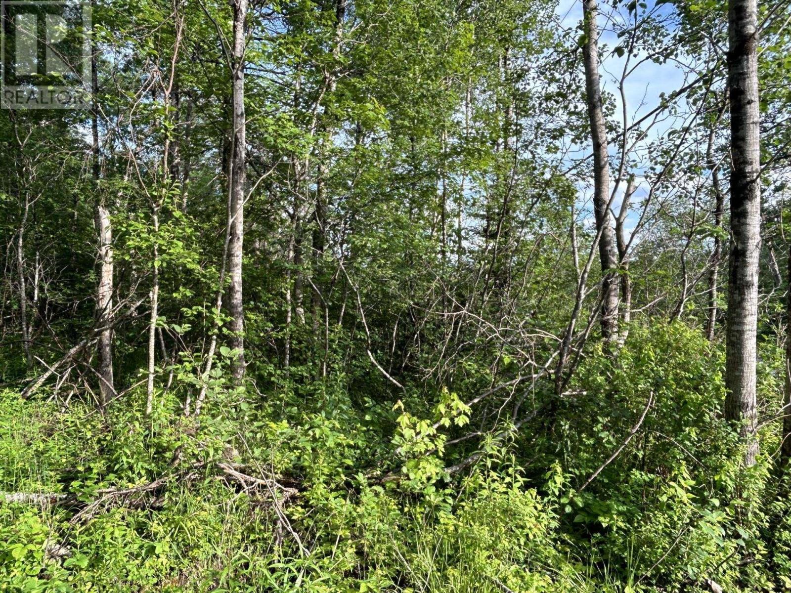 Lot K1 Greenfield Road, Greenfield, Nova Scotia  B4P 2R1 - Photo 7 - 202512250