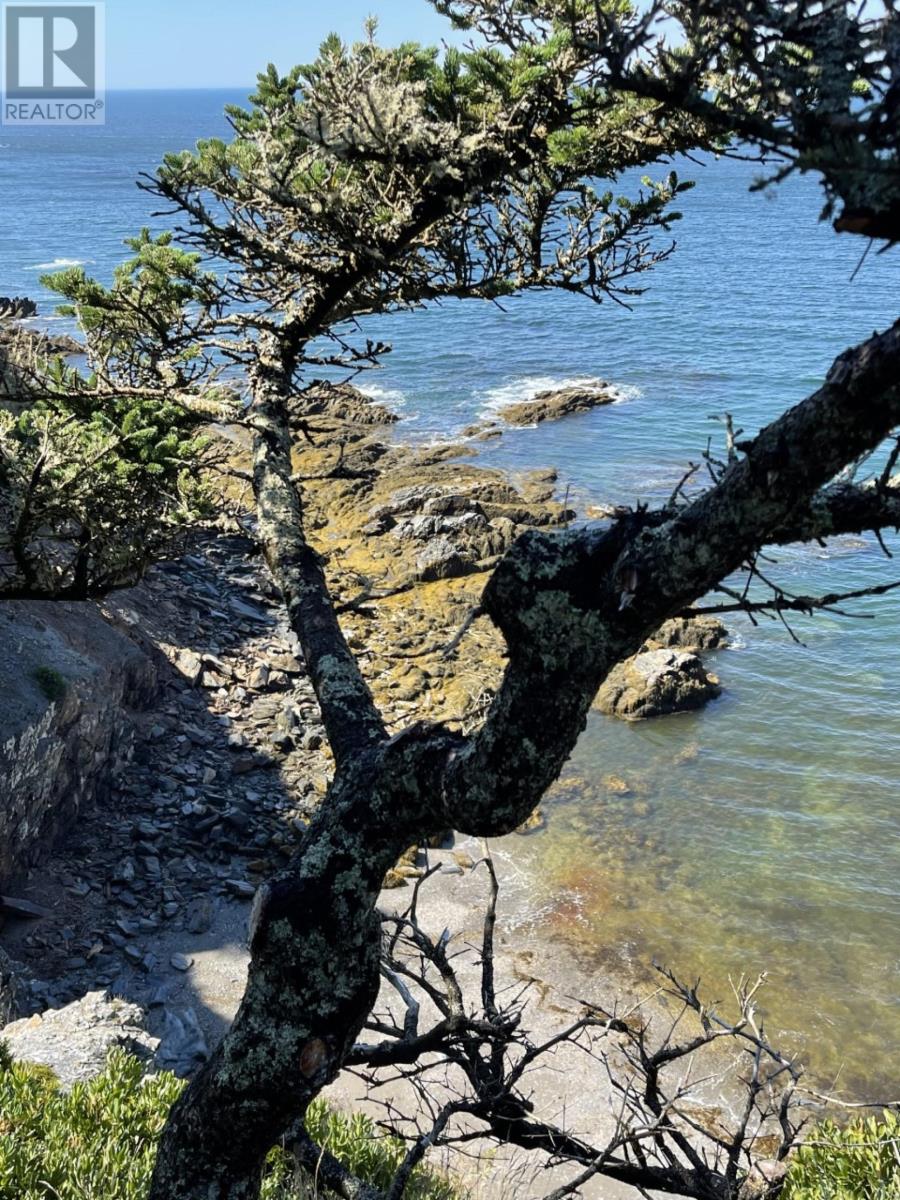 Lot 10c-A Pepperrell Road, Cape St Marys, Nova Scotia  B5A 5B4 - Photo 42 - 202512370