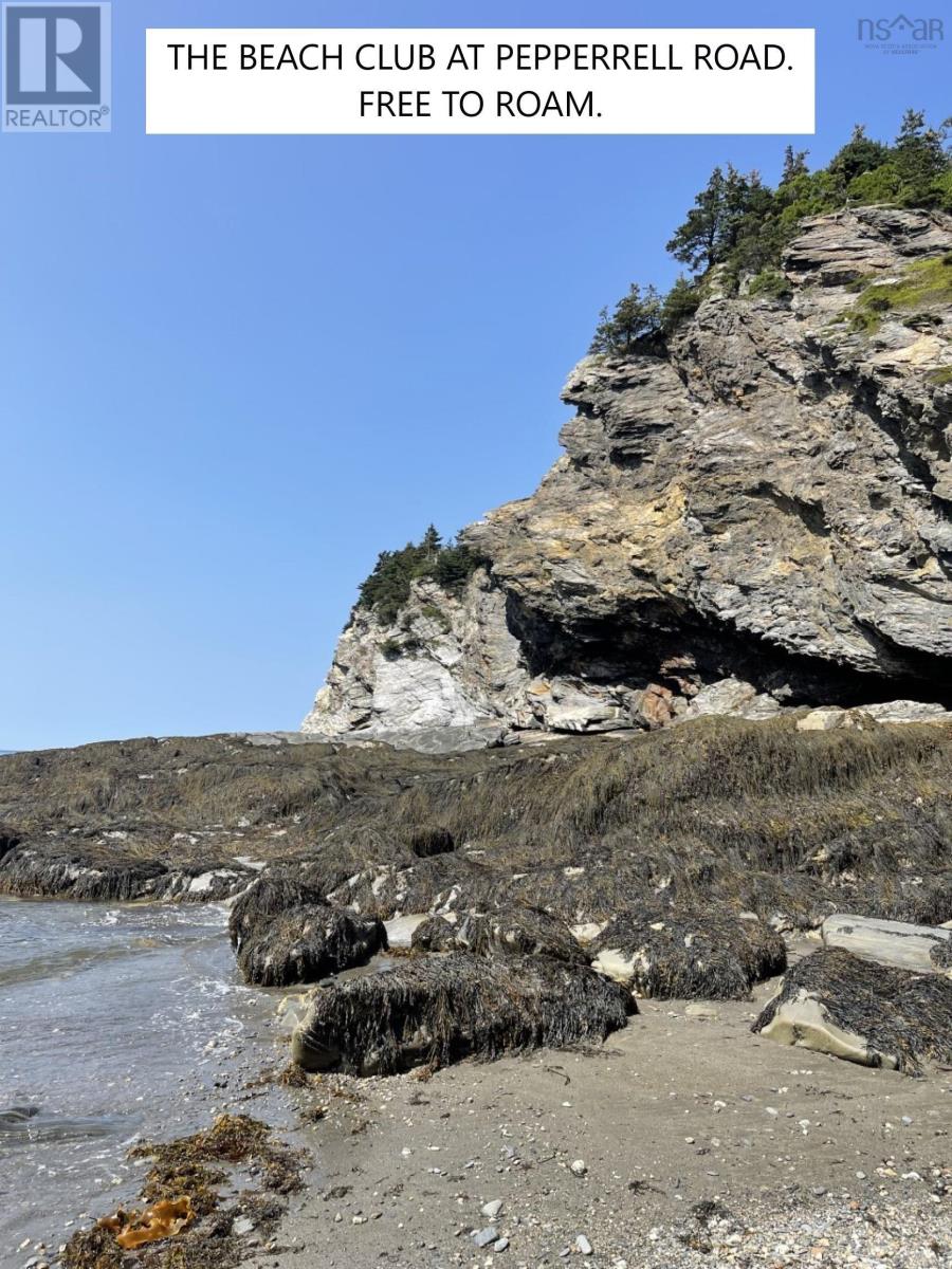 Lot 9b-E Pepperrell Road, Cape St Marys, Nova Scotia  B5A 5B4 - Photo 13 - 202512372