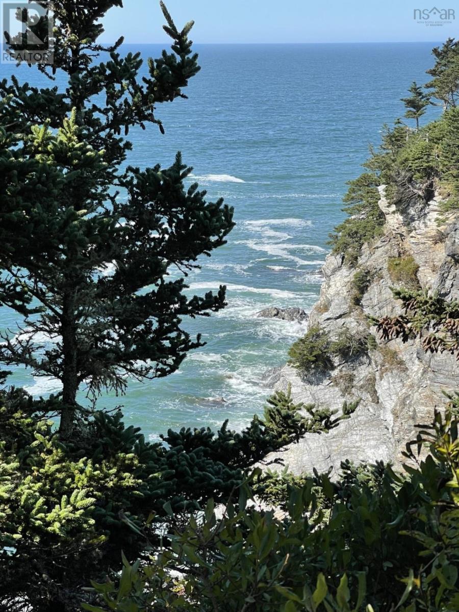 Lot 9b-E Pepperrell Road, Cape St Marys, Nova Scotia  B5A 5B4 - Photo 44 - 202512372