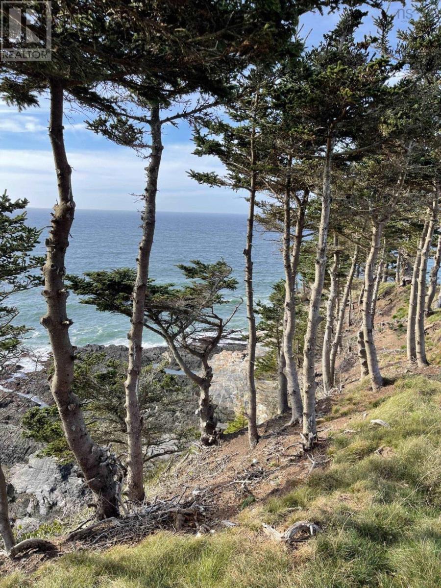 Lot 7g Pepperrell Road, Cape St Marys, Nova Scotia  B5A 5B4 - Photo 46 - 202512373