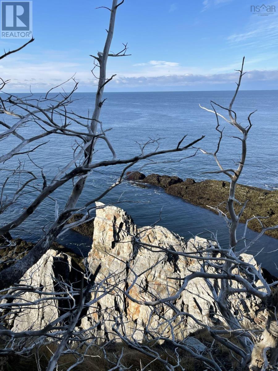 Lot 7a Pepperrell Road, Cape St Marys, Nova Scotia  B5A 5B4 - Photo 2 - 202512391