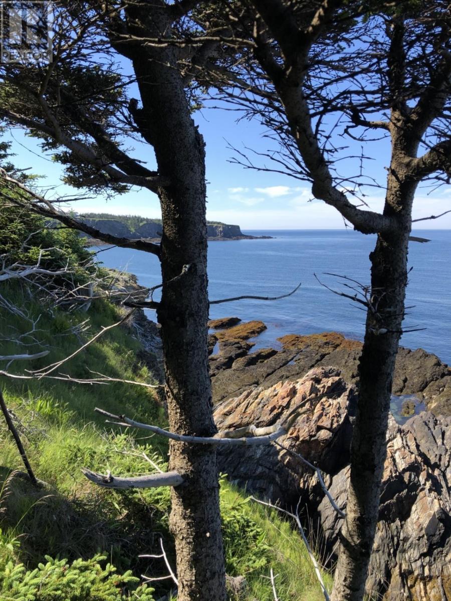 Lot 7a Pepperrell Road, Cape St Marys, Nova Scotia  B5A 5B4 - Photo 24 - 202512391